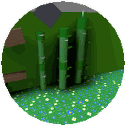 Bamboo Field