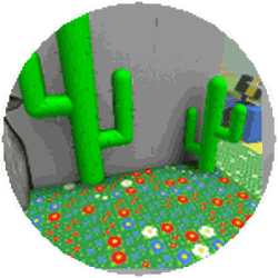 Cactus Field