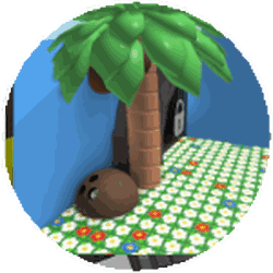 Coconut Field