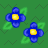 Double Blue Flower