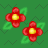 Double Red Flower