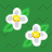 Double White Flower