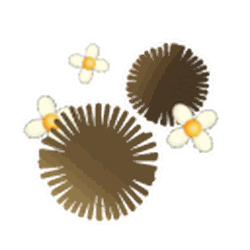 Fuzz Bombs