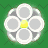 Large White Flower