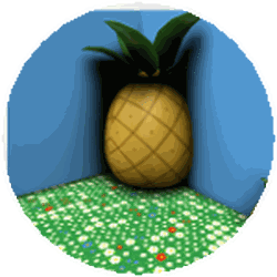 Pineapple Patch