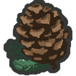 Pinecone