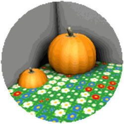 Pumpkin Patch