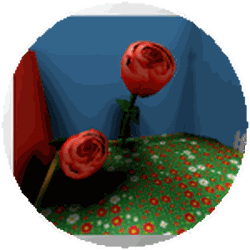 Rose Field