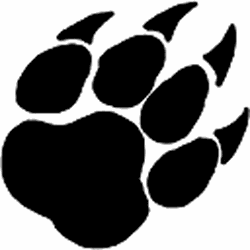 Scratch