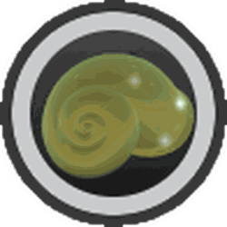 Shell Amulet