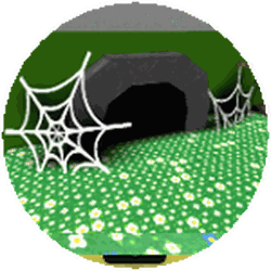 Spider Field