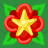 Star Red Flower