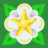 Star White Flower
