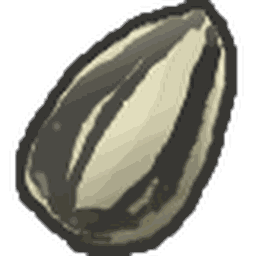 Sunflower Seed